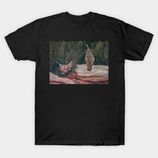 Spinifex Pigeons, Kings Canyon, NT T-Shirt